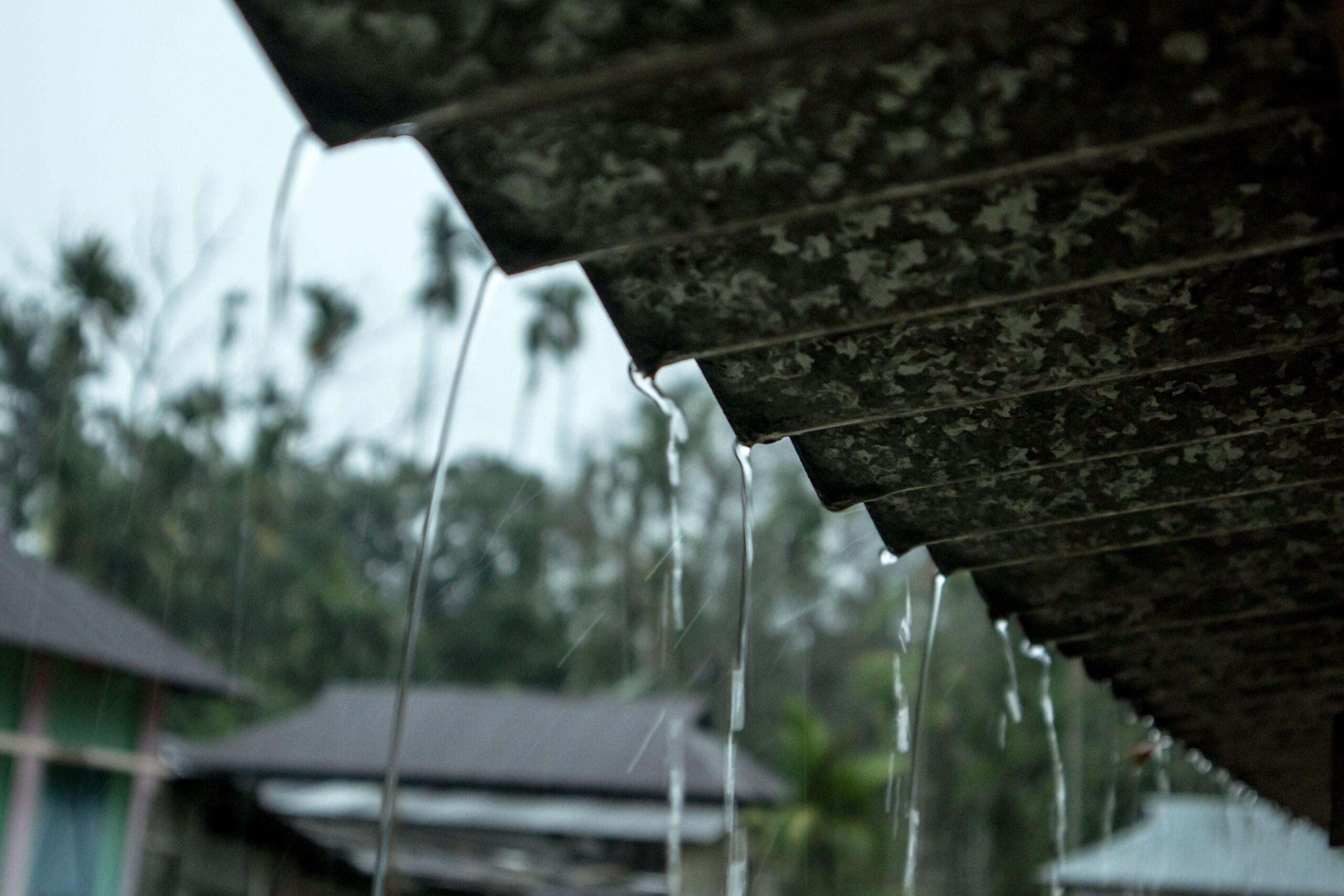 Best Roofing Materials for Rainy Climates: Choose Right Before Spring Rush